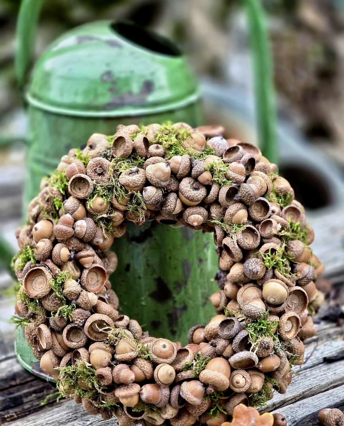 DIY Acorn Wreath with Moss Accents