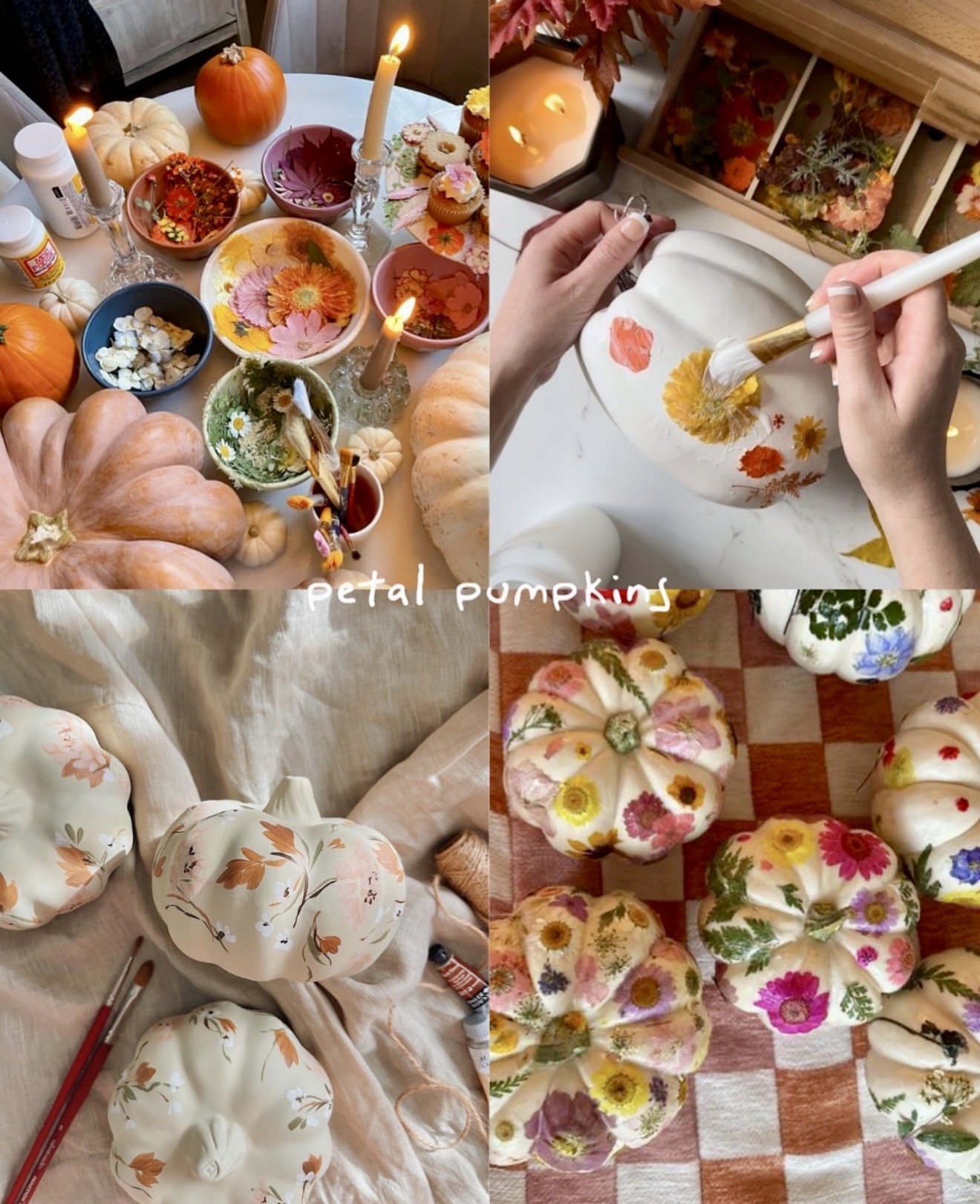DIY Pressed Flower and Petal Pumpkins
