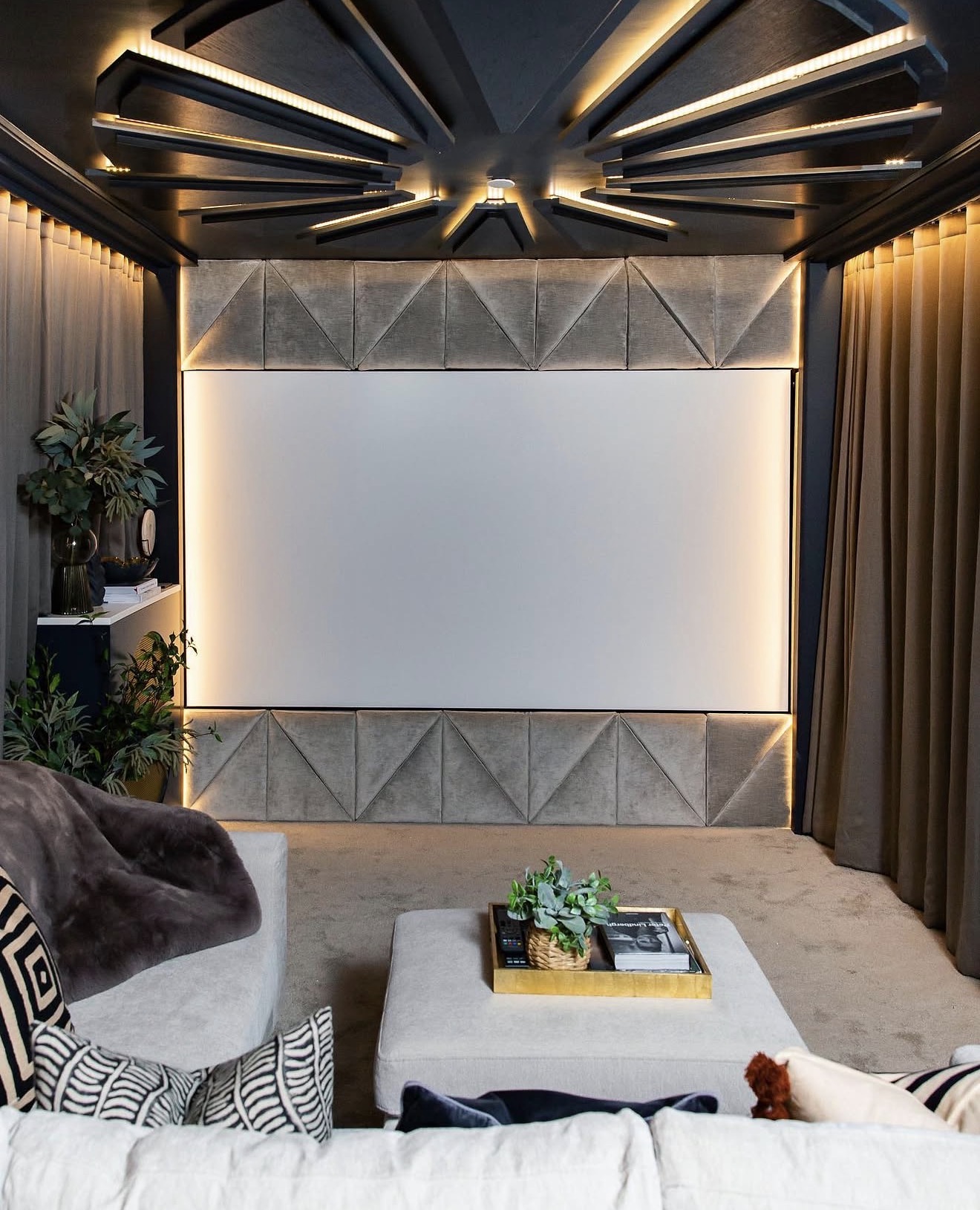 Luxurious Cinematic Velvet Wall Theatre Room