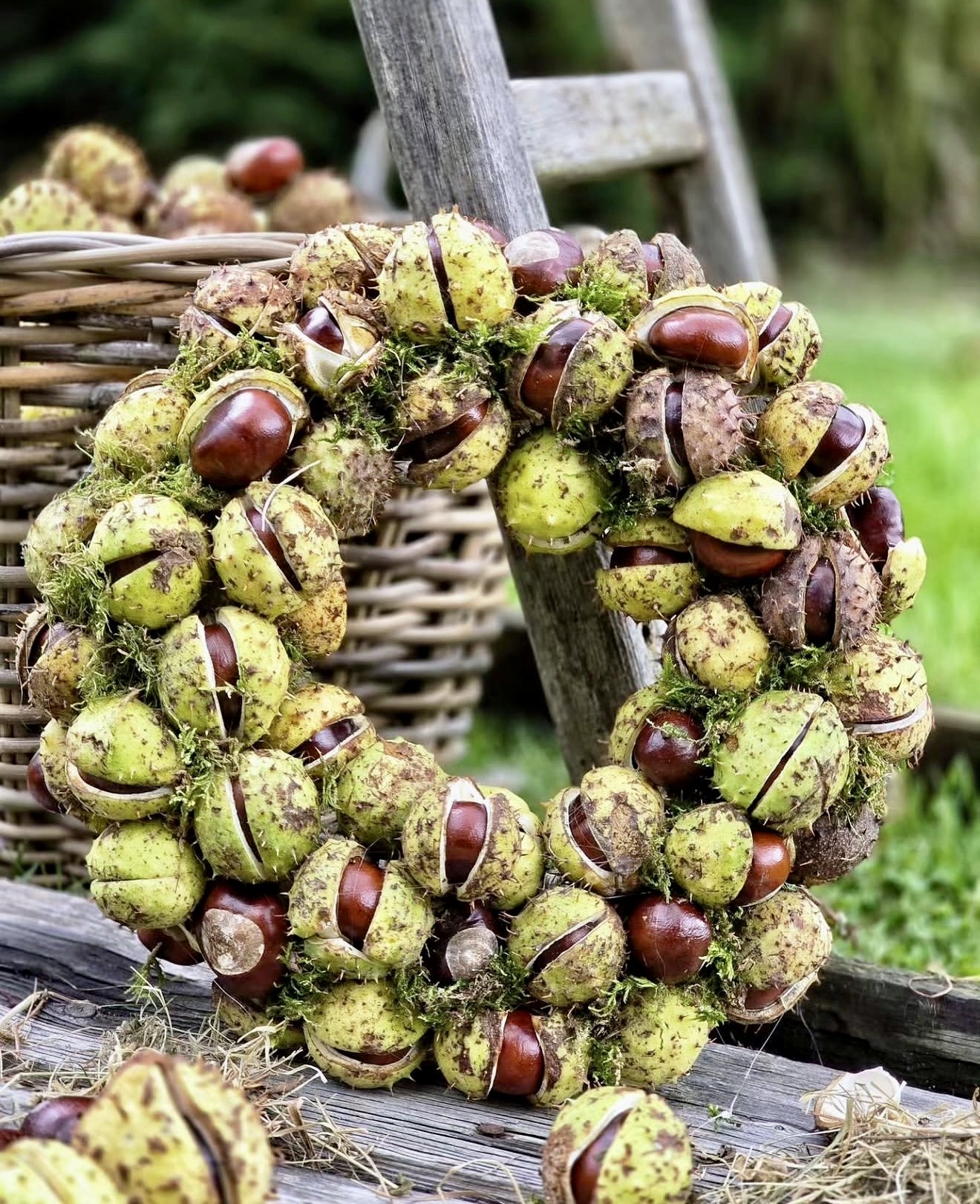Natural Horse Chestnut Fall Wreath