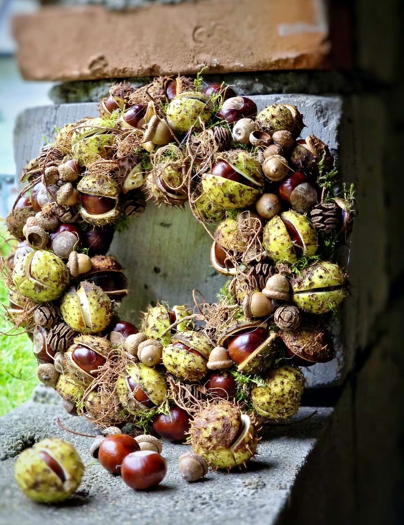 Nature's Harvest Chestnut And Acorn Wreath