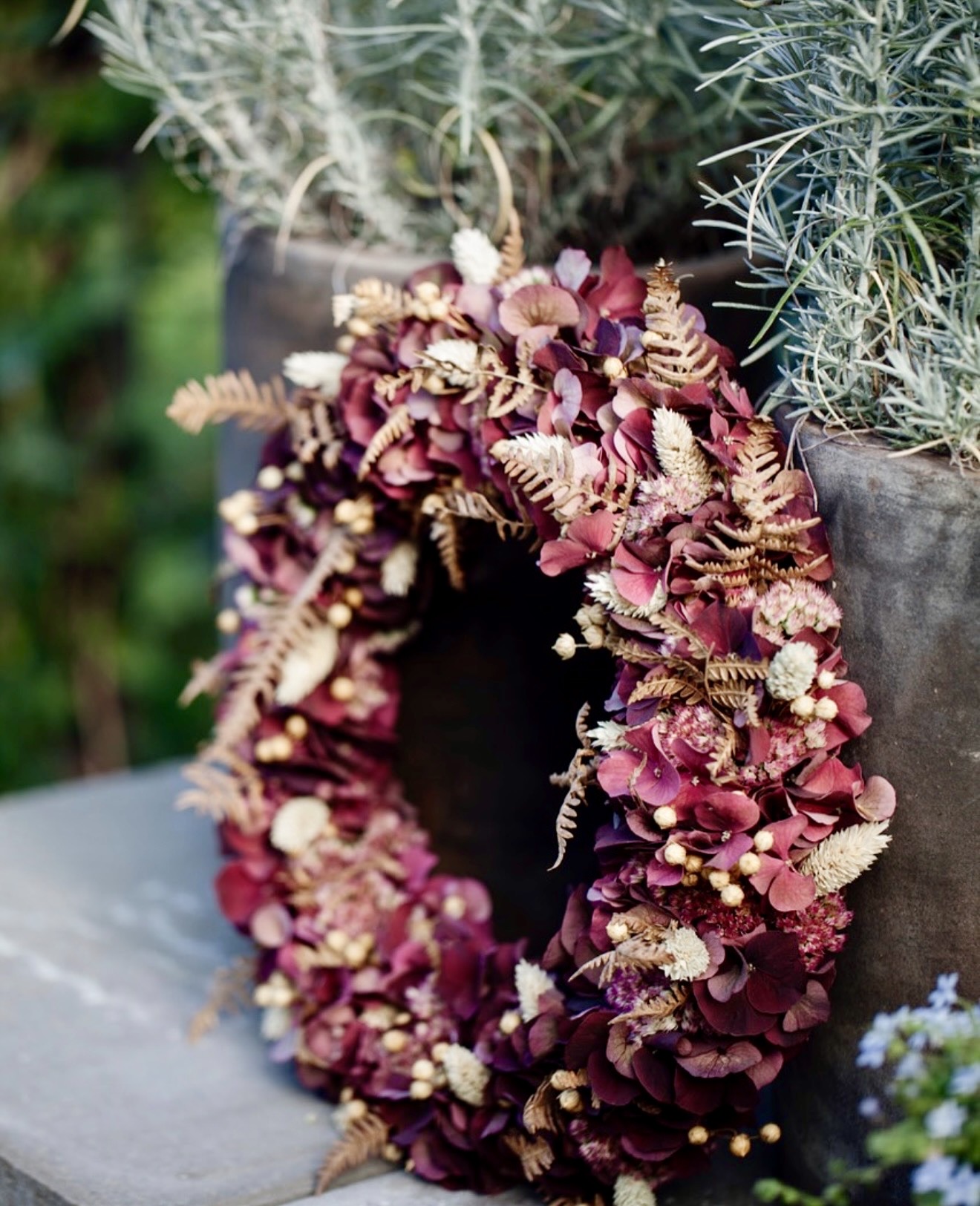 Rustic Burgundy Dried Hydrangea Wreath