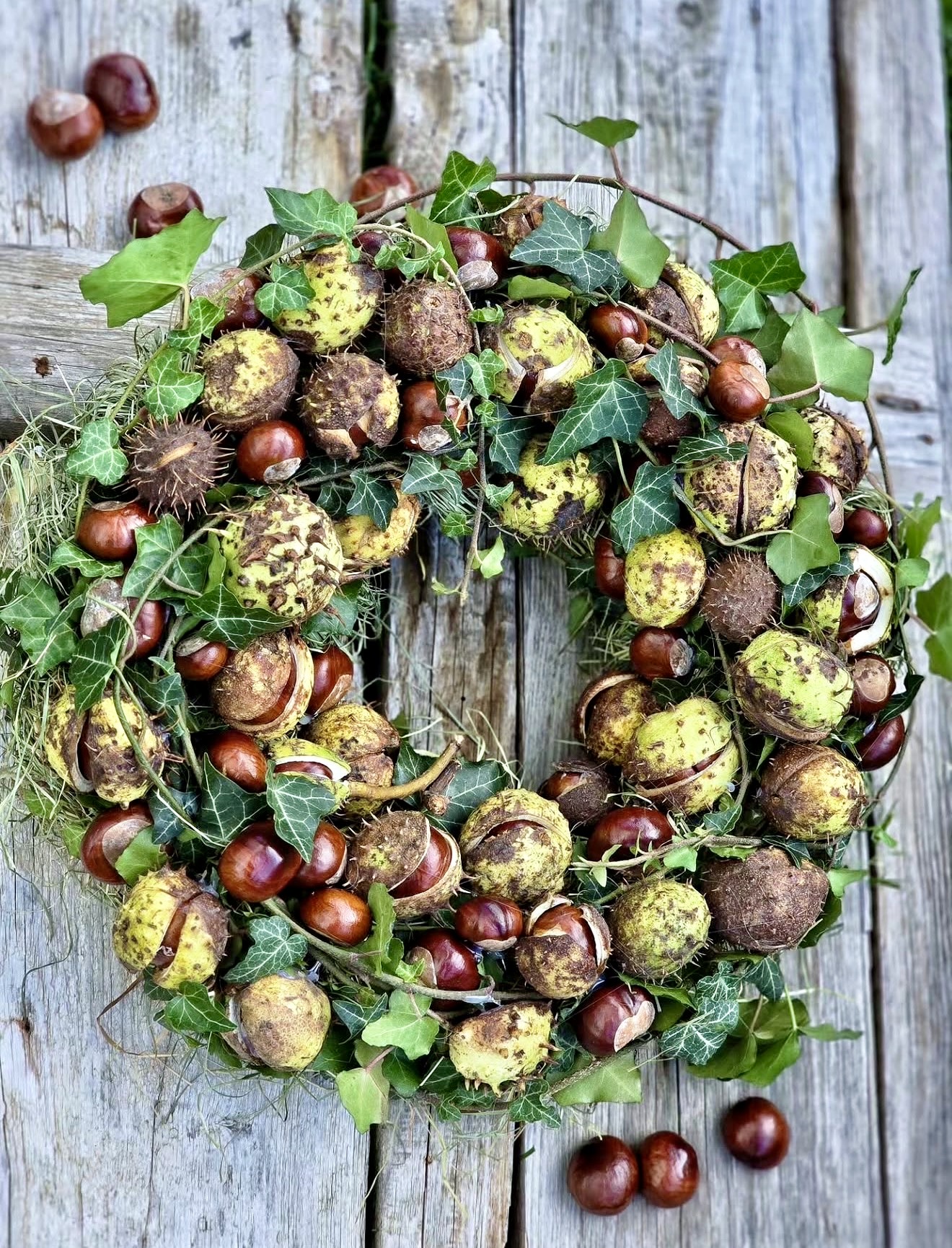 Rustic Chestnut and Ivy Fall Wreath