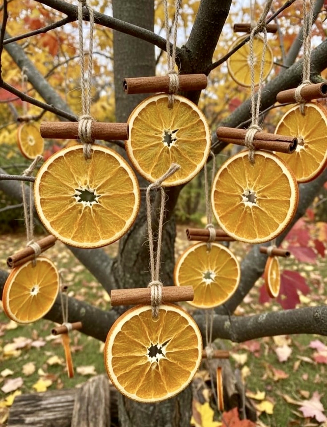 Rustic Dried Orange and Cinnamon Stick Ornaments