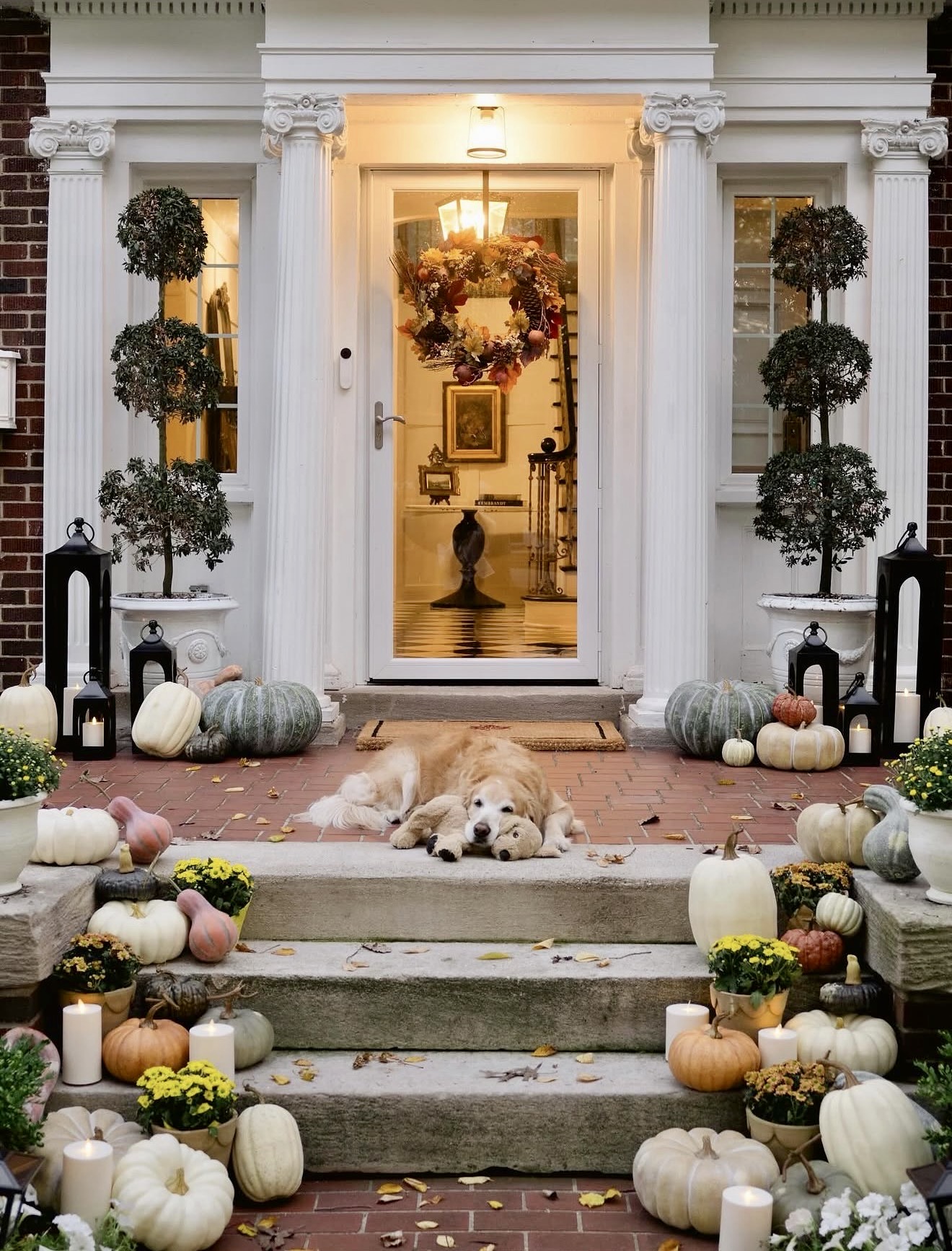 Cozy Fall Porch With Pumpkins And A Golden Retriever
